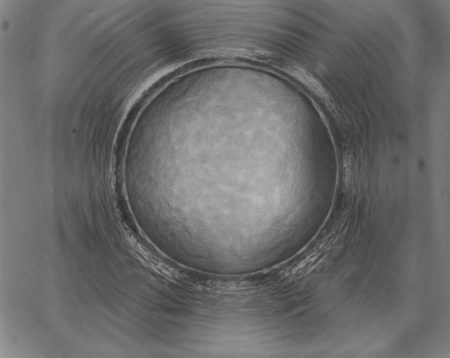 X0000067351020200604131745