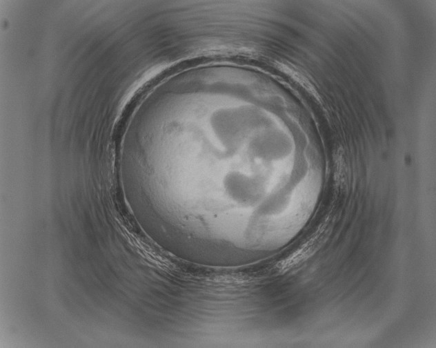 X0000067351021200604131745