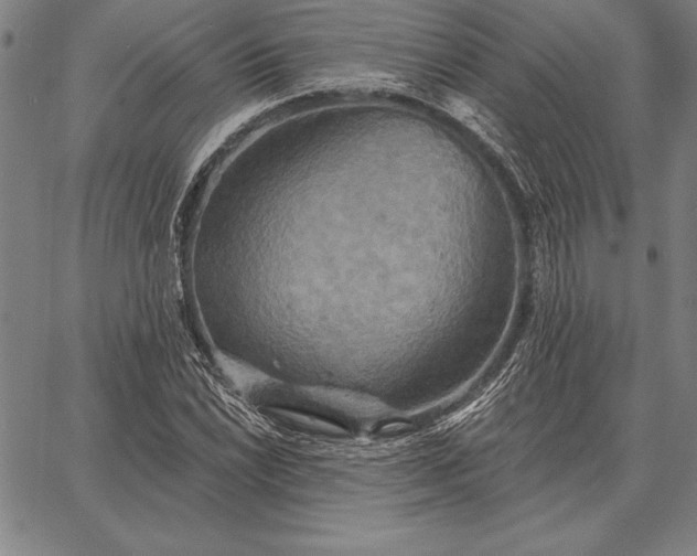 X0000067351022200604131745