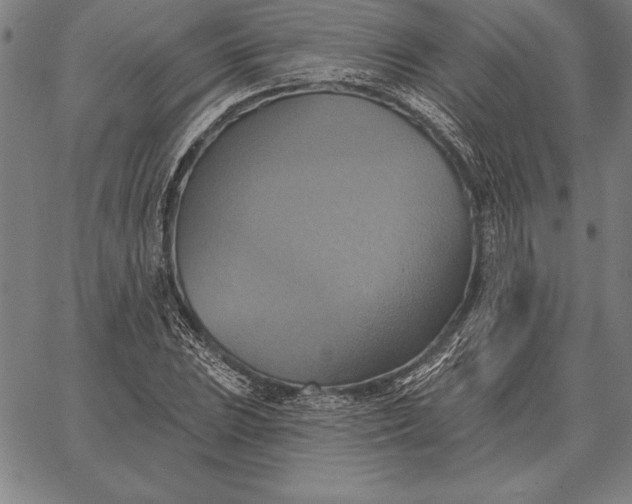 X0000067351023200604131745