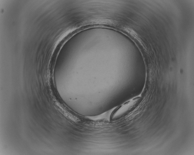 X0000067351024200604131745