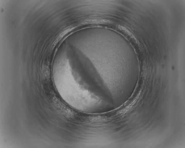 X0000067351025200604131745