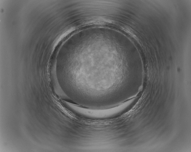 X0000067351026200604131745