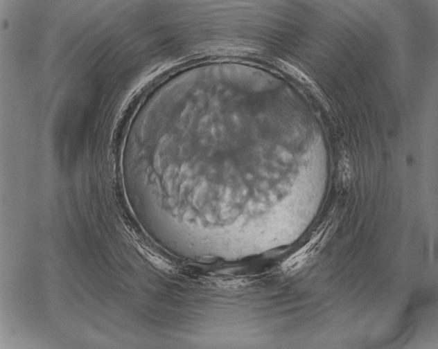 X0000067351027200604131745