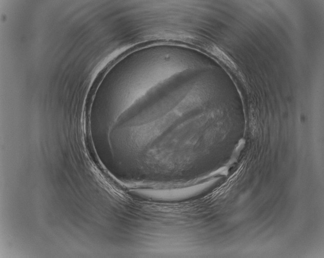 X0000067351028200604131745