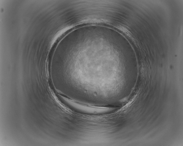 X0000067351030200604131745