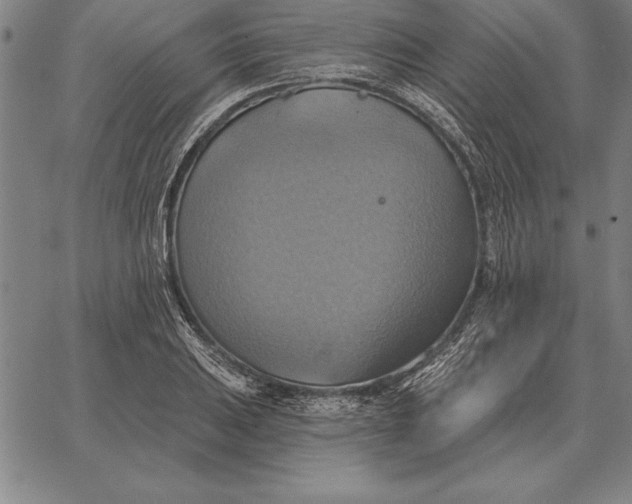 X0000067351031200604131745