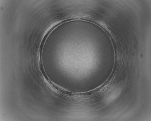 X0000067351032200604131745