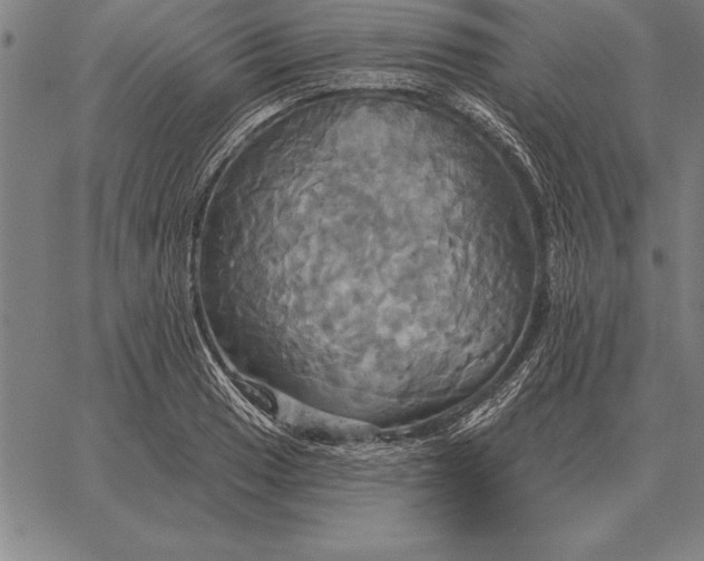 X0000067351033200604131745