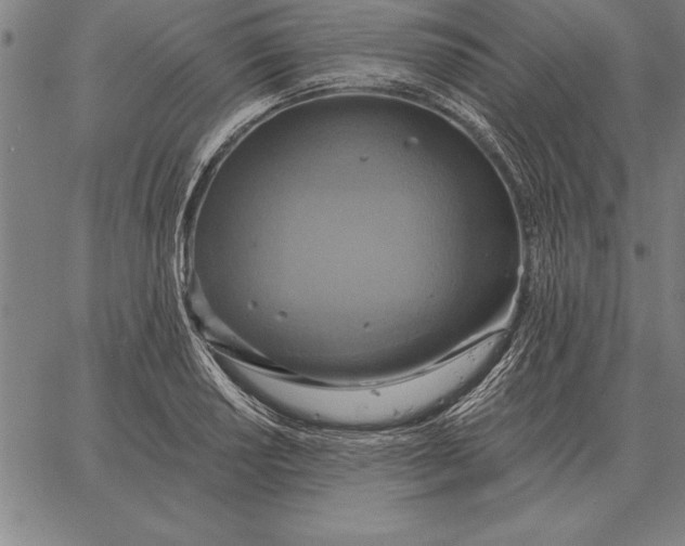 X0000067351034200604131745