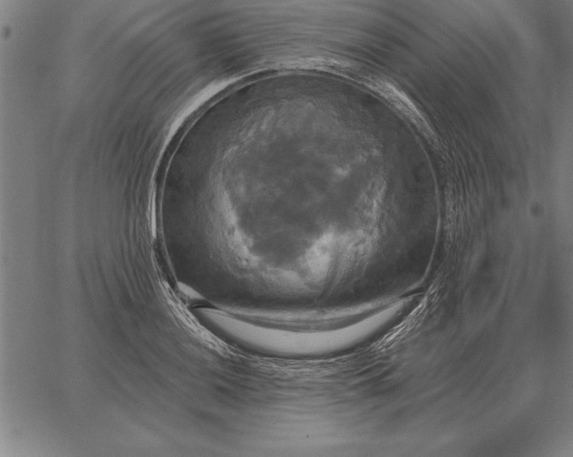 X0000067351036200604131745