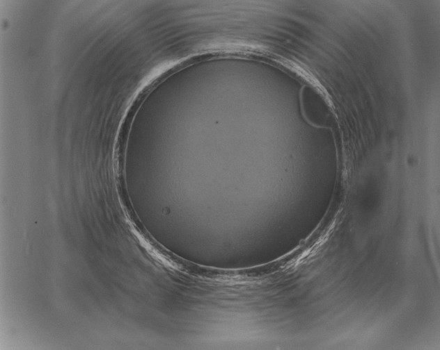 X0000067351037200604131745