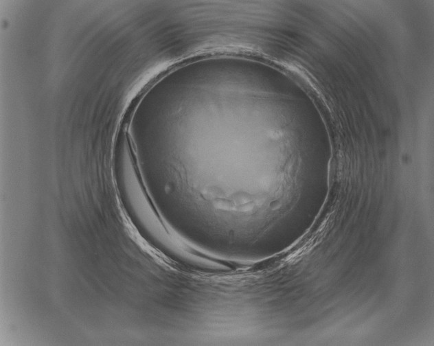 X0000067351038200604131745