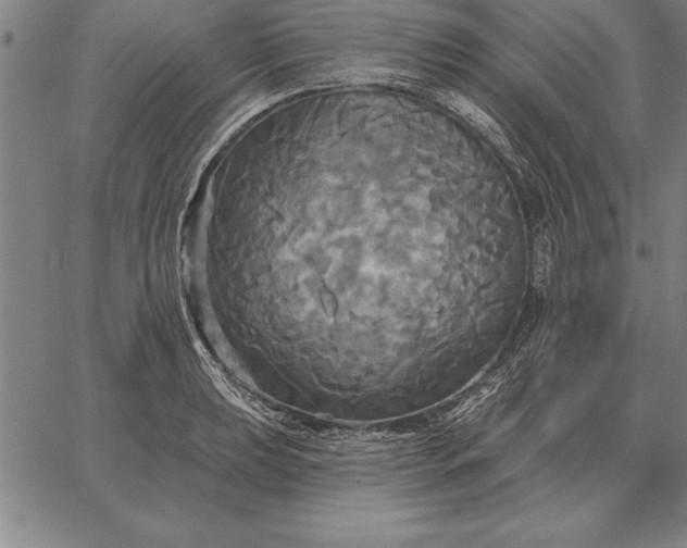 X0000067351039200604131745