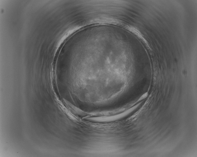 X0000067351040200604131745