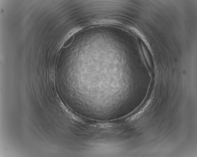 X0000067351041200604131746