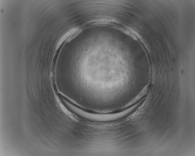 X0000067351042200604131746