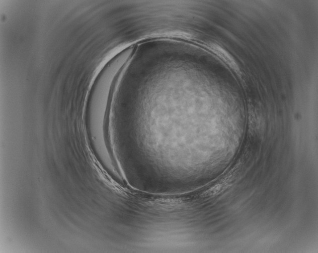 X0000067351044200604131746