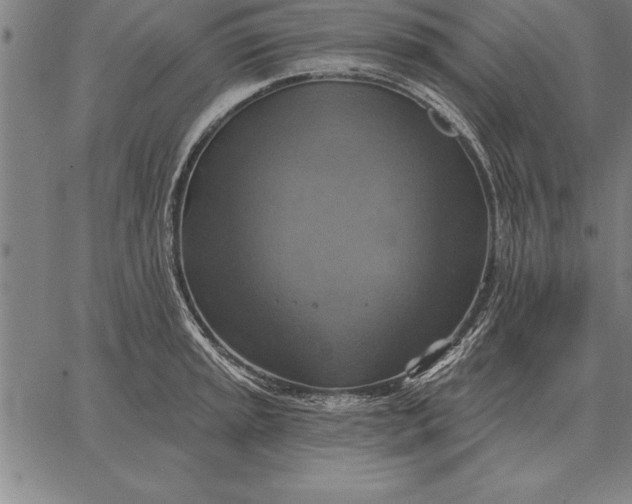 X0000067351045200604131746