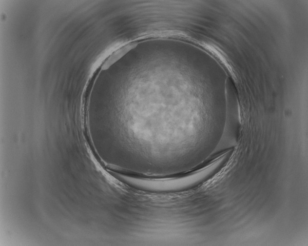 X0000067351046200604131746