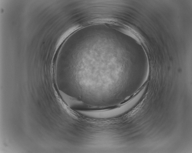 X0000067351050200604131746