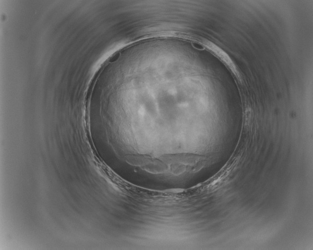 X0000067351051200604131746