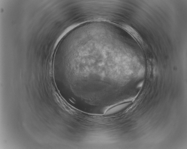 X0000067351052200604131746