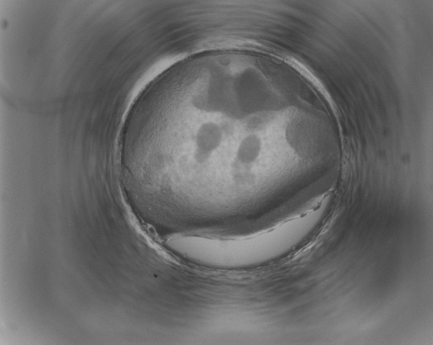 X0000067351053200604131746