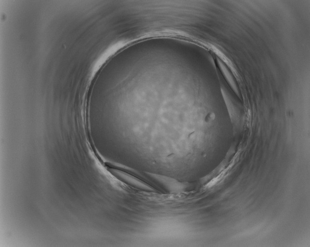 X0000067351054200604131746