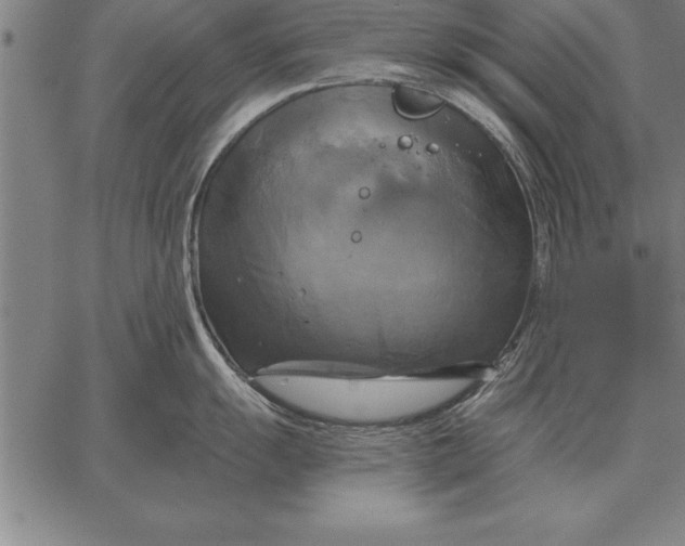 X0000067351055200604131746