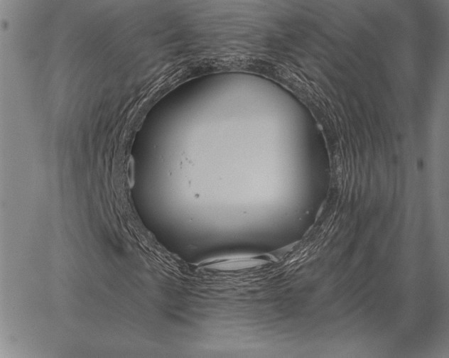 X0000067351057200604131745