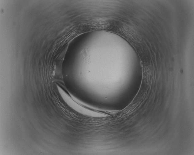 X0000067351058200604131745