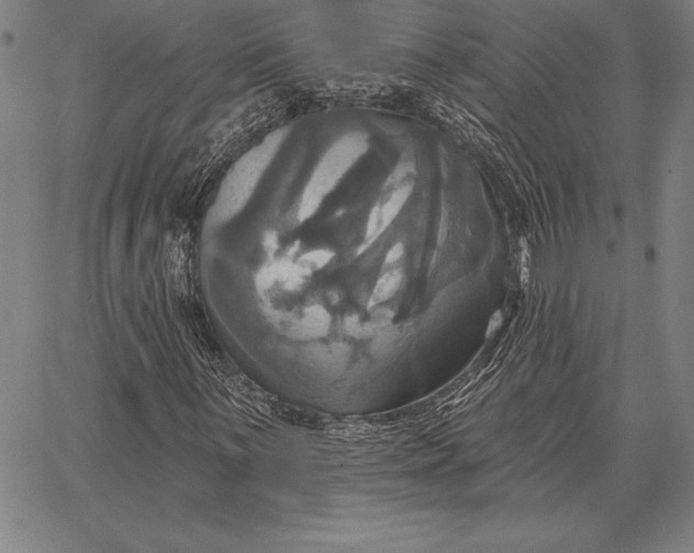 X0000067351059200604131745