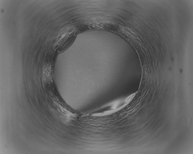 X0000067351060200604131745