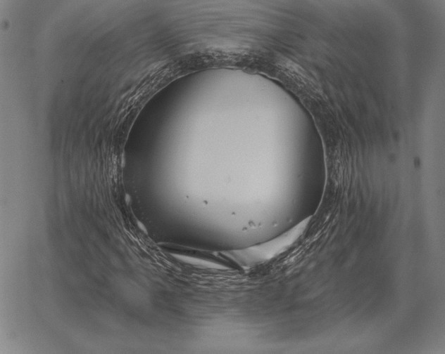 X0000067351061200604131745