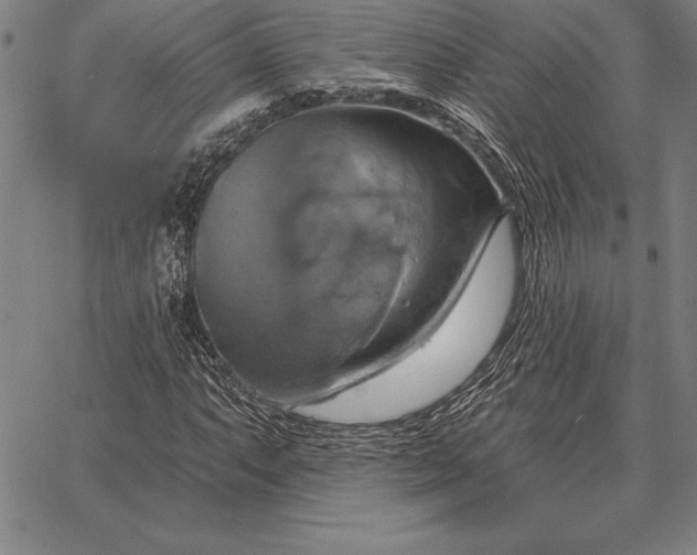 X0000067351063200604131745