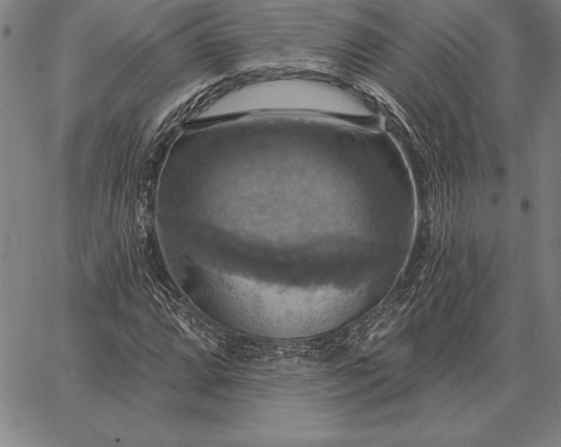 X0000067351064200604131745