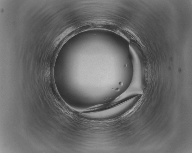 X0000067351065200604131745