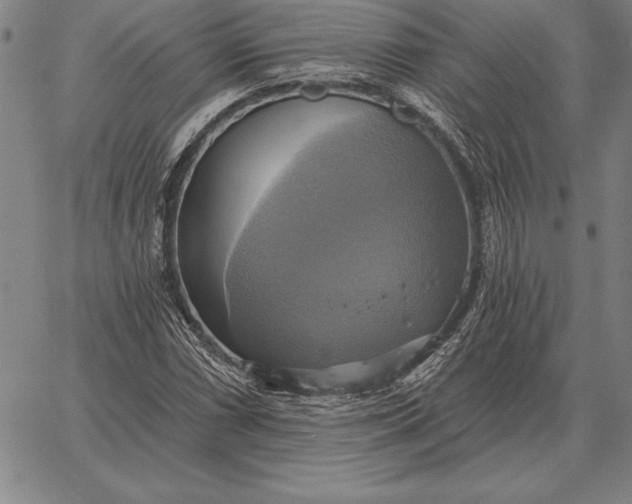 X0000067351066200604131745