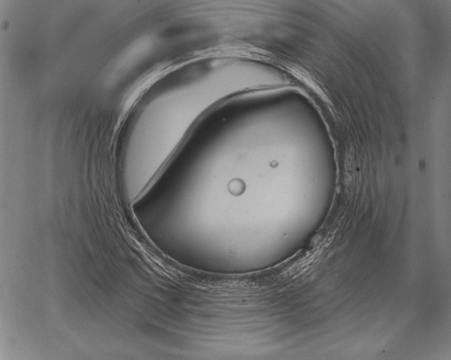 X0000067351067200604131745