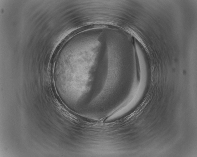 X0000067351068200604131745