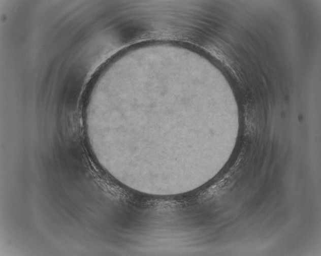 X0000067351070200604131745