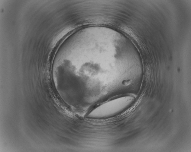 X0000067351071200604131745