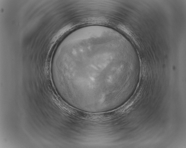 X0000067351074200604131745