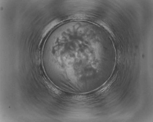 X0000067351075200604131745