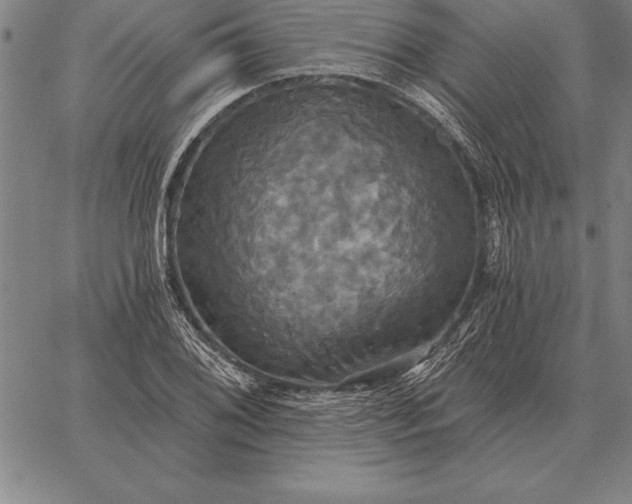 X0000067351076200604131745