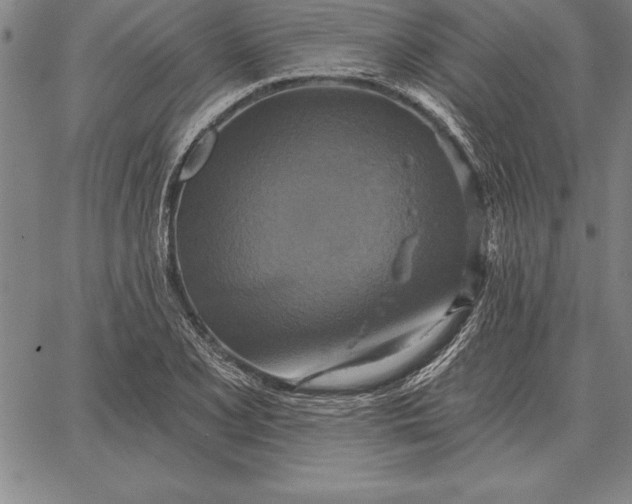 X0000067351077200604131745