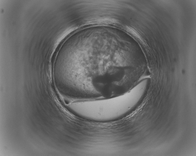 X0000067351079200604131745