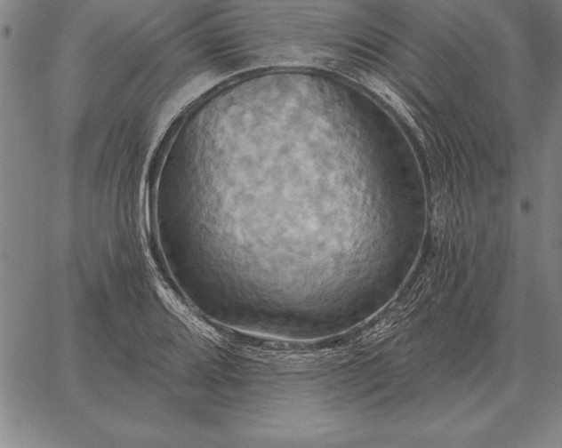 X0000067351080200604131745