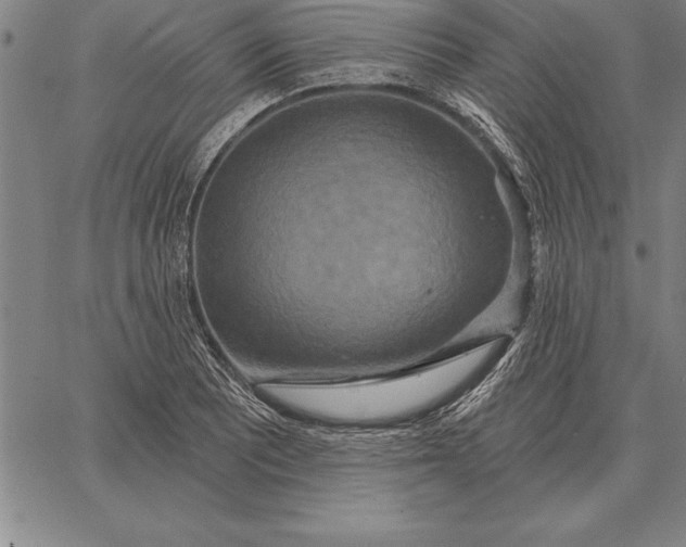 X0000067351081200604131745